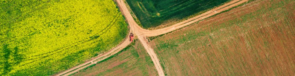 Agricultural Land - Crossroads between fields image for Landlord - Tenant Code Article