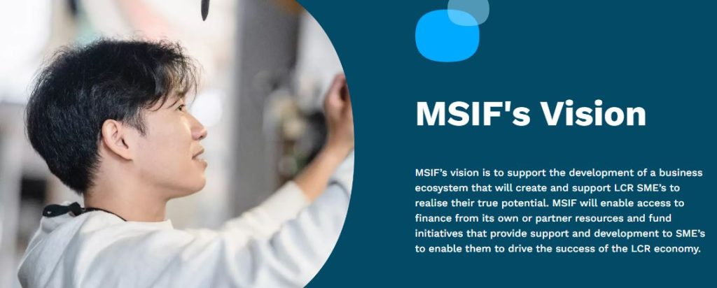 MSIF (Merseyside Special Investment Fund) Vision 