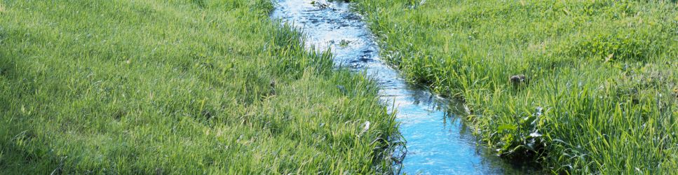 Image of a small stream dividing some land as an example of a General Boundary