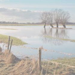 Liability for Flood Damage: The Risk of Flooding on a Neighbour’s Property